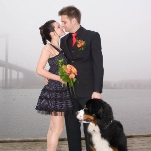 Convenio regulador divorcio con mascota 2